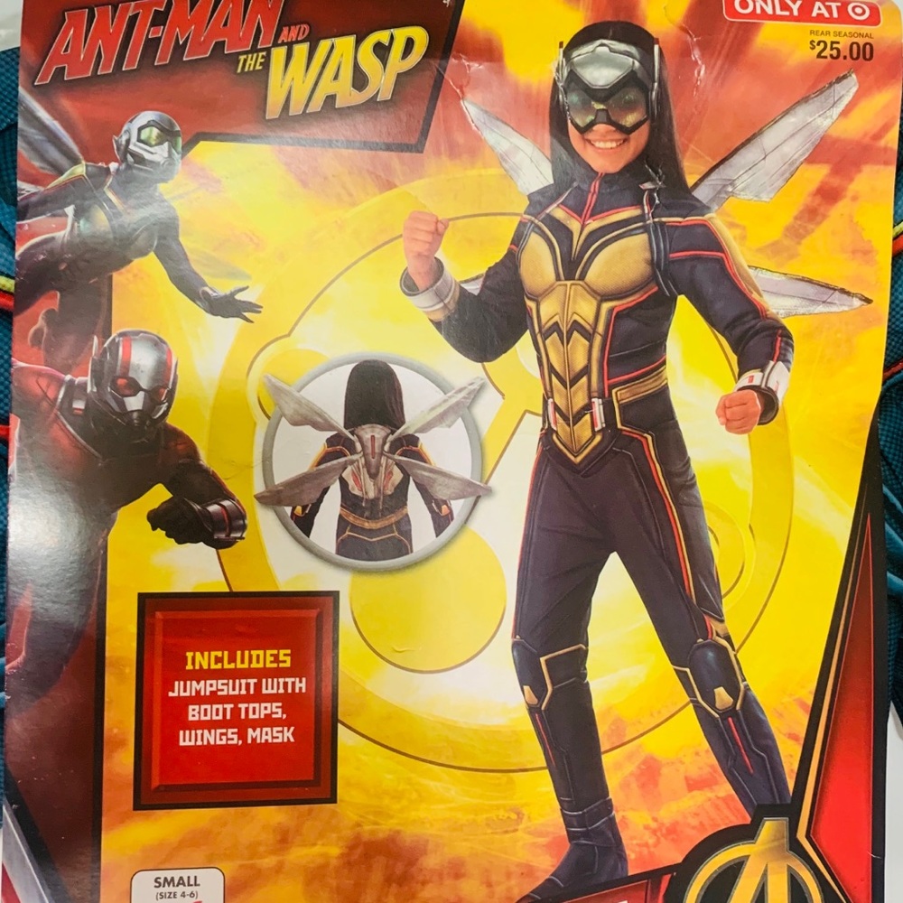 Marvel AntMan & Wasp Rubies Wasp Halloween Costume